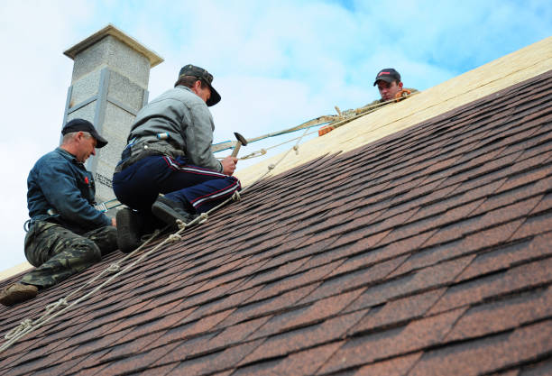 Best Gutter Installation and Roofing  in Rendon, TX